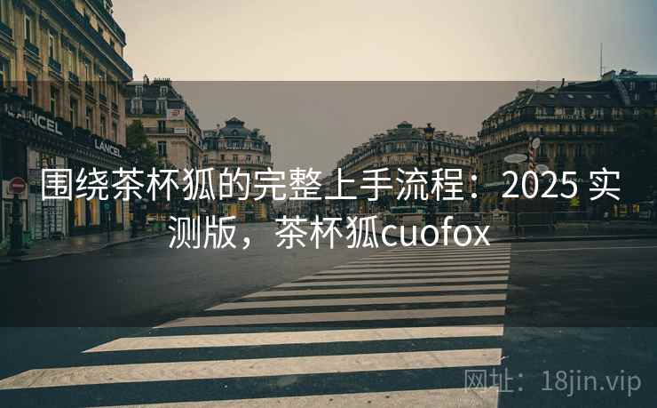 围绕茶杯狐的完整上手流程：2025 实测版，茶杯狐cuofox