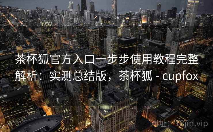 茶杯狐官方入口一步步使用教程完整解析：实测总结版，茶杯狐 - cupfox