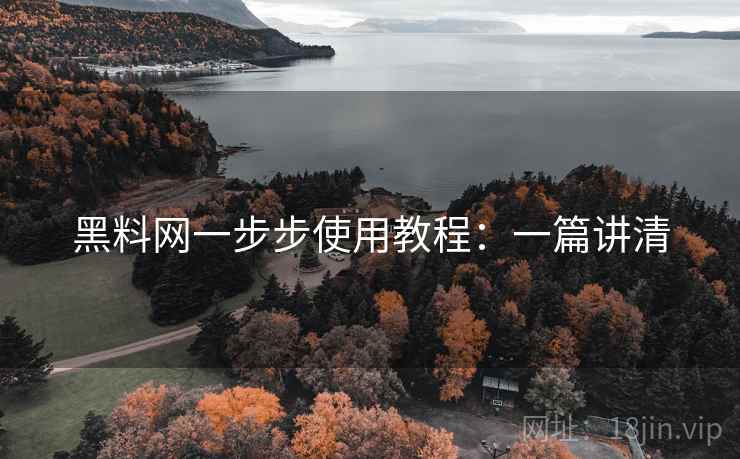 黑料网一步步使用教程：一篇讲清