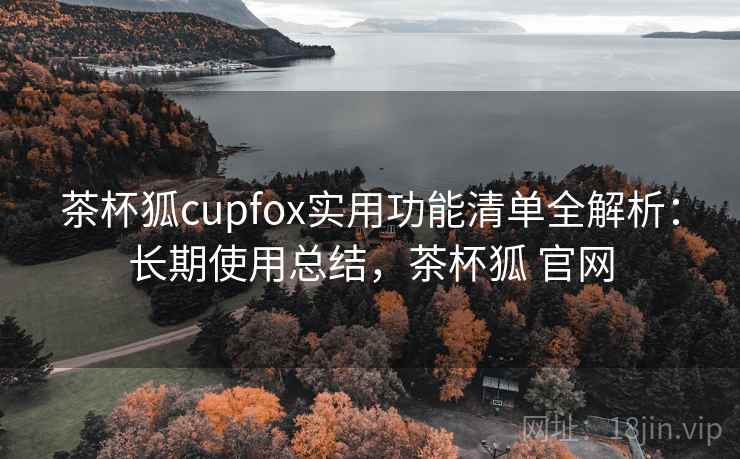 茶杯狐cupfox实用功能清单全解析：长期使用总结，茶杯狐 官网